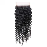 Invisible Water Wave HD Lace Closure Natural Wave Curly Human Hair 5×5 Closure Pre Plucked Closure