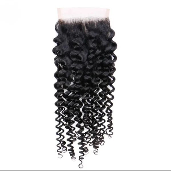 Invisible Water Wave HD Lace Closure Natural Wave Curly Human Hair 5×5 Closure Pre Plucked Closure